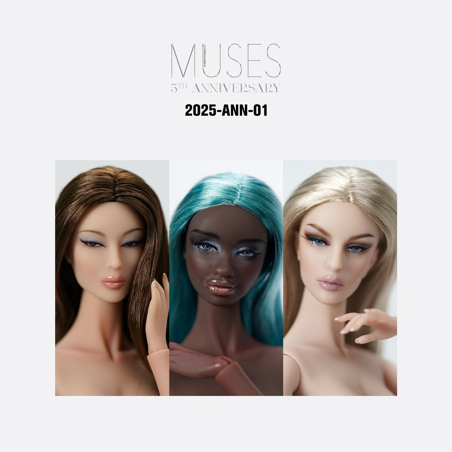 Muses 5th Anniversary Wig Cap Style 1