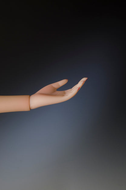 Click on or Scroll over image to enlarge.