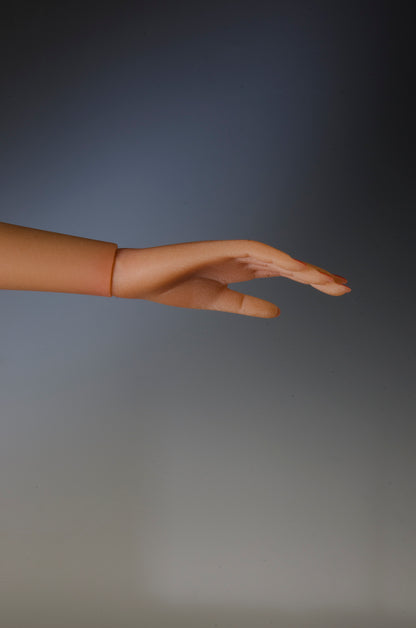 CLICK or SCROLL OVER IMAGE TO ENLARGE