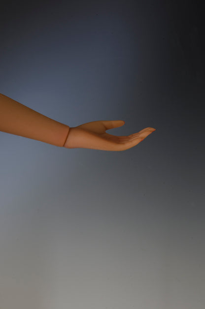 CLICK or SCROLL OVER IMAGE TO ENLARGE