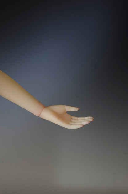 Click on or Scroll over image to enlarge.