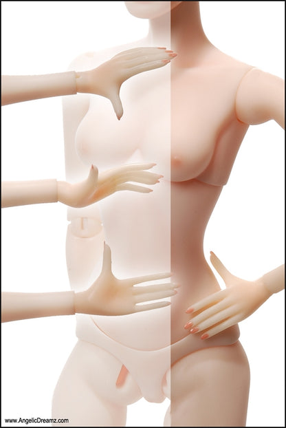 CLICK IMAGE TO ENLARGE