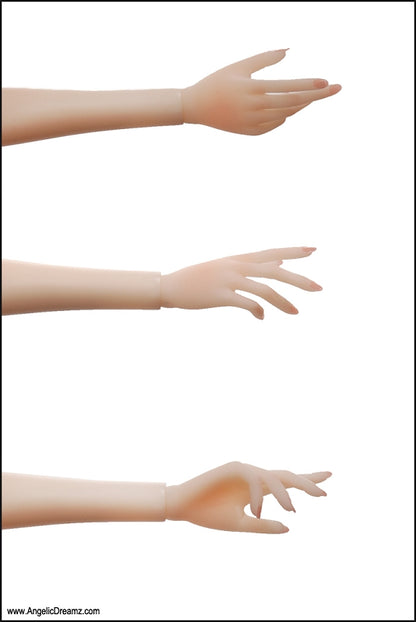 CLICK IMAGE TO ENLARGE