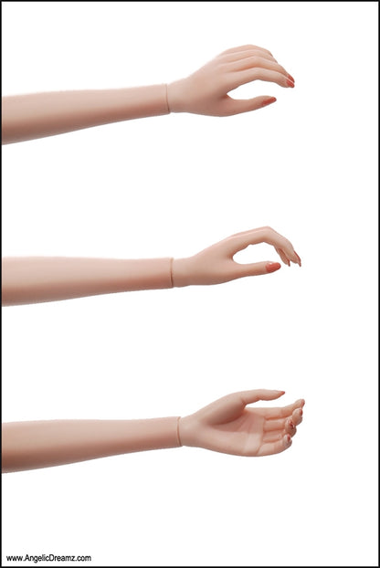 CLICK IMAGE TO ENLARGE