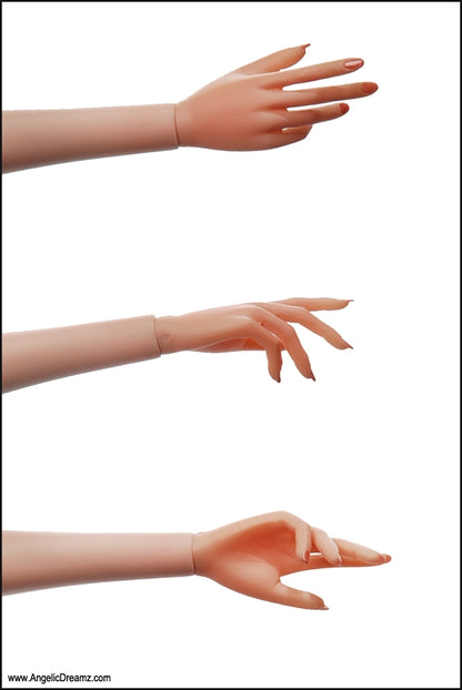 CLICK IMAGE TO ENLARGE